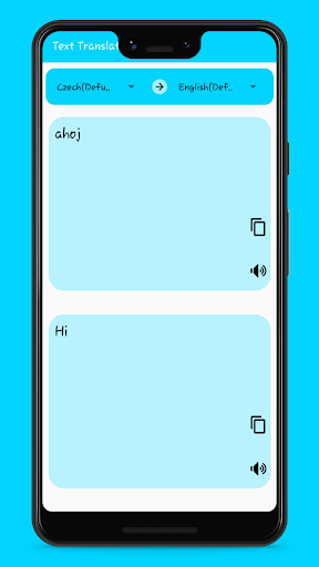 Czech to English Translation