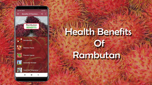 Benefits Of Rambutan