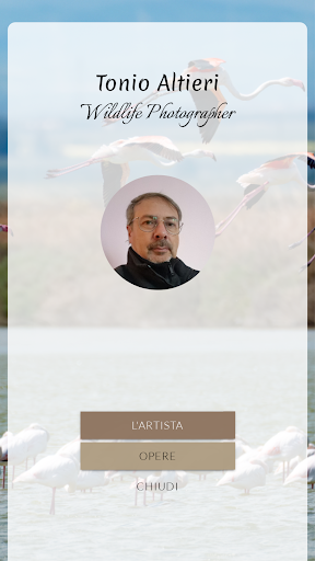 Tonio Altieri Screen 2
