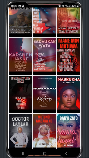 Hausa Novels Books Media