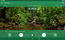 screenshot of Relax Forest: sleeping sounds