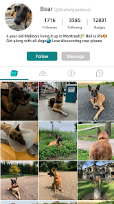 Screenshot image