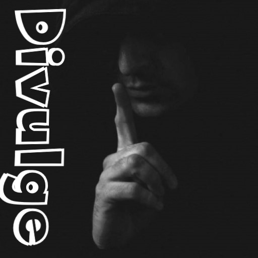 Divulge logo