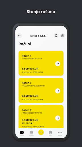 mojaRBA BIZ Screen 2