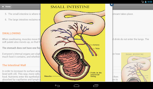 Human Body System Screen 3