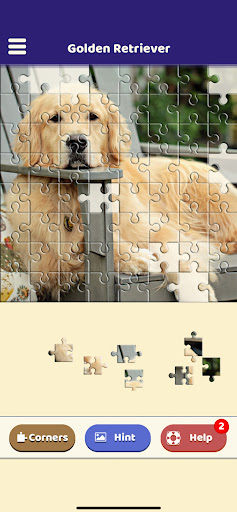 Golden Retriever Puzzle