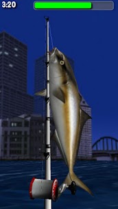Big Night Fishing 3D Lite For PC installation