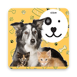 Cover Image of Скачать Pet Love Stickers 1.04 APK