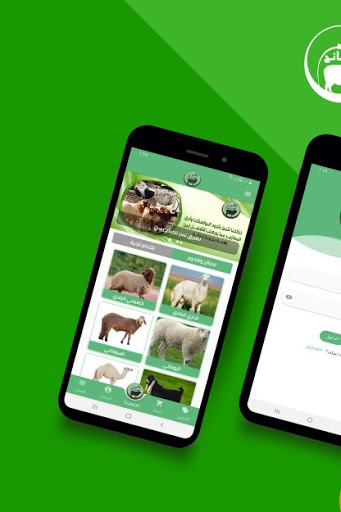 نعم للذبائح