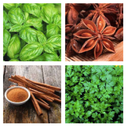 Culinary Herbs and Spices logo