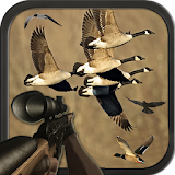 Birds Hunting Sniper Season icon