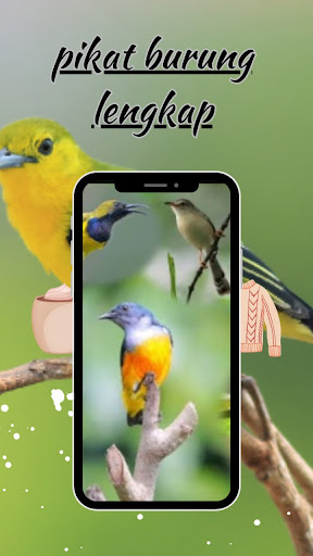 Suara Pikat Burung Liar Mp3