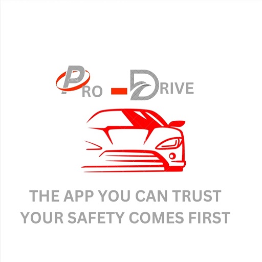 Pro Drive logo
