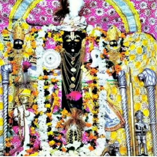 shree roopnarayan ji mandir logo