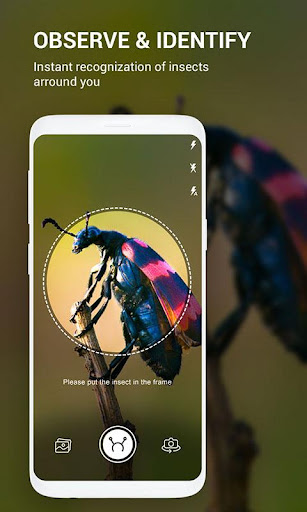 Insect identifier by Photo Cam - Top Entertainment App by MobilMinds applications | 4.1 Stars