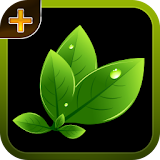 Herbal plants and Cures icon