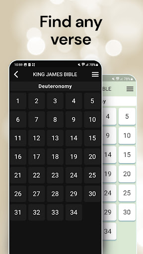 King James Bible Screen 3