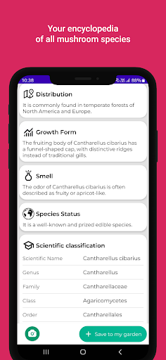 Mushroom identifier Screen 3