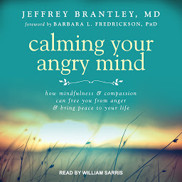 Icoonafbeelding voor Calming Your Angry Mind: How Mindfulness and Compassion Can Free You from Anger and Bring Peace to Your Life