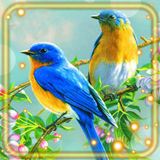 Birds Beauty Live Wallpaper  Icon