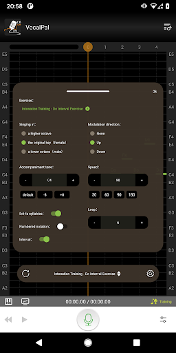 VocalPal - Vocal Training Pal