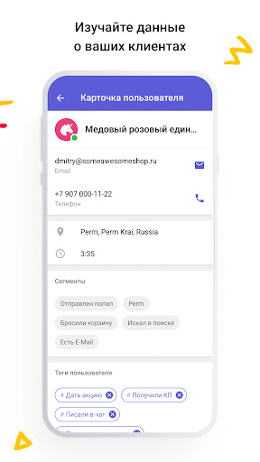 Carrot quest — чат для сайта Screen 2