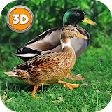 Duck Simulator 3D: Bird Life icon