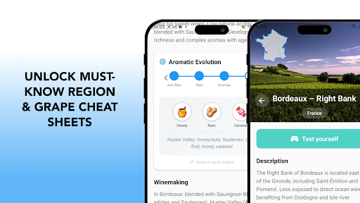 PrepMyExam · WSET 2 – Wines