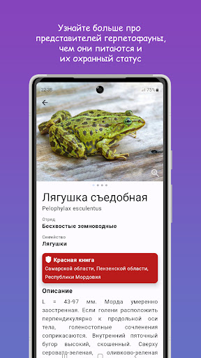 Герпетофауна Средней Волги Screen 2