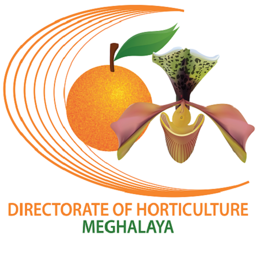 MEG HORTICULTURE HUB logo