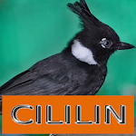 Cover Image of डाउनलोड Master Kicau Cililin  APK