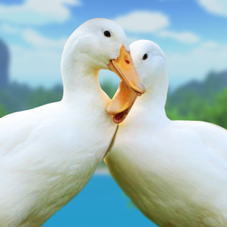 Virtual Duck Pet Bird games apk