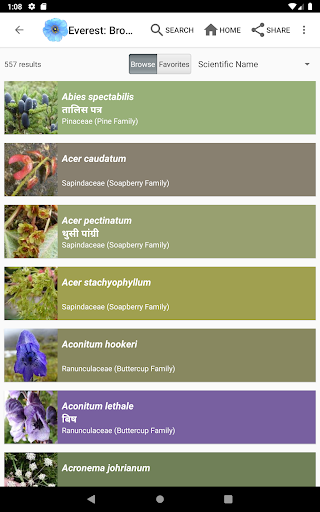 Screenshot of Wildflowers of Mount Everest