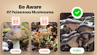 screenshot of Mushroom Identification