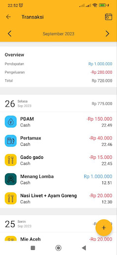 CashFlowDetect Screen 3