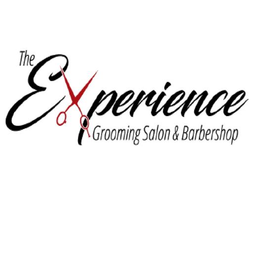The Experience logo