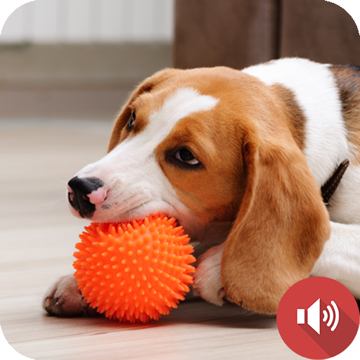 Squeaky Toy Sounds Logo