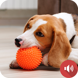 Icon image Squeaky Toy Sounds