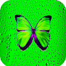 Green Wallpaper HD Application icon