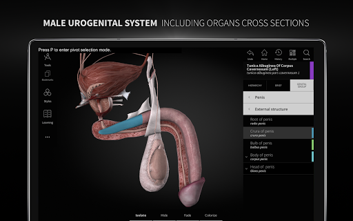 Anatomyka - 3D Human Anatomy Atlas 2.1.5 Screenshots 13