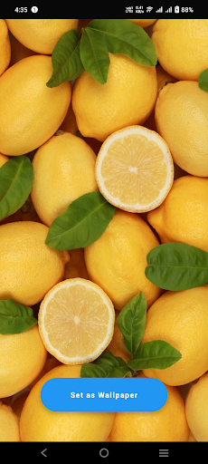 Android application Lemon Wallpaper screenshort