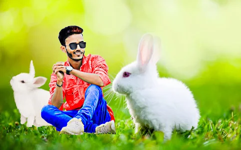 Rabbit photo editor and frames