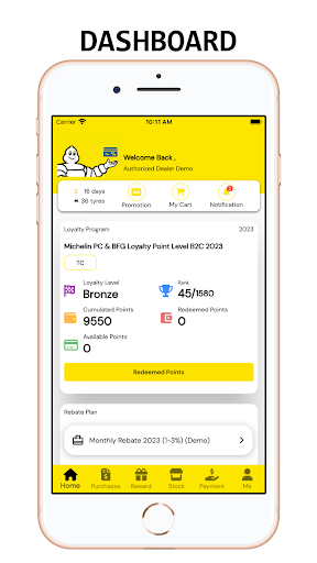 MICHELIN Biz Connect Screen 2
