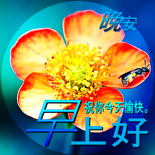 Good Morning in Chinese logo