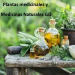 Cover Image of Download Plantas medicinales y Medicinas Naturales Go 1 APK
