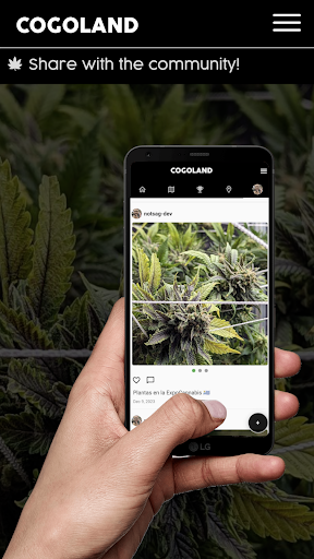 Android application Cogoland: Social cannabis screenshort