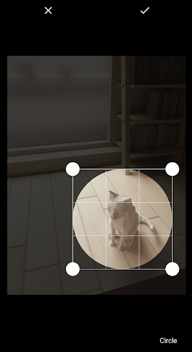 Crop Image Screen 3