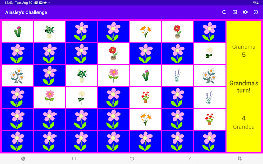 Ainsleys Challenge Screen 3
