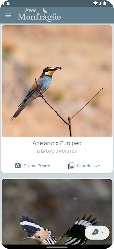 Android application Aves Monfragüe screenshort