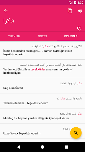 Turkish Arabic Dictionary Screen 3